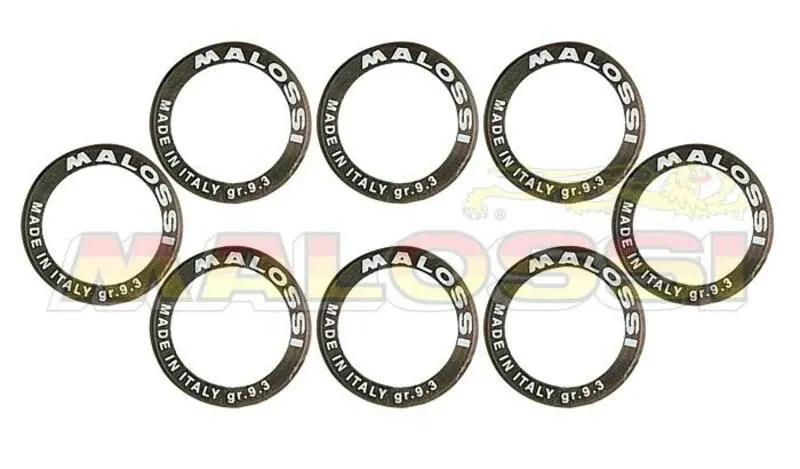 8 Rodillos Malossi HTRoll Ø25x14,9 gr.16 Ø25X14,9 GR.16 6613561.E0