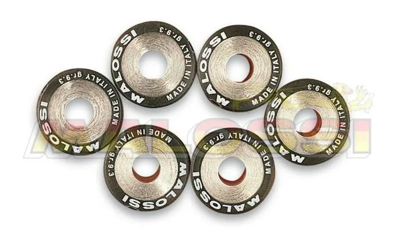 6 Rodillos Malossi HTRoll Ø20x14,6 gr.15,5 6611534.H0