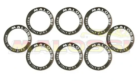 8 Rodillos Malossi HTRoll Ø25x14,9 gr.16 Ø25X14,9 GR.16 6613561.E0
