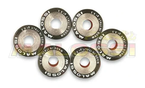 6 Rodillos Malossi HTRoll Ø20x14,6 gr.15,5 6611534.H0
